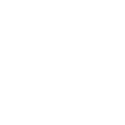 Chloe x